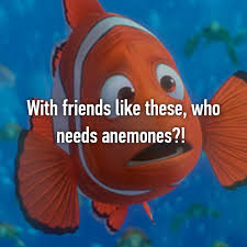 Image result for friend like this anemones who needs cartoon