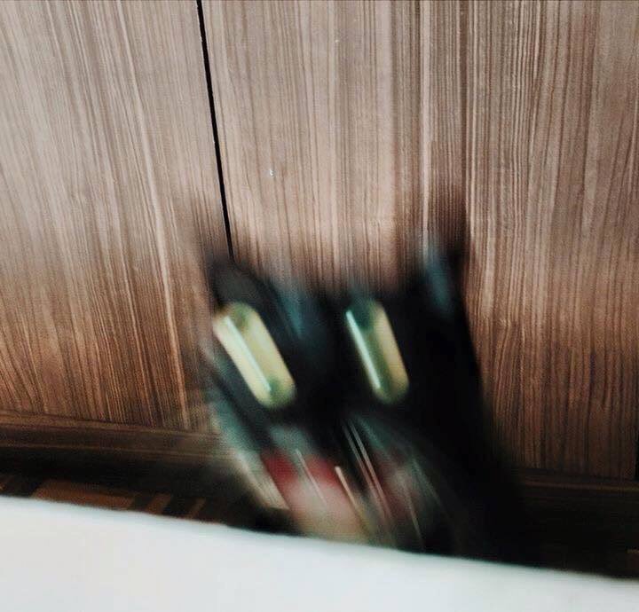 1582035768385.jpeg