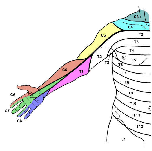 1590009898033.png