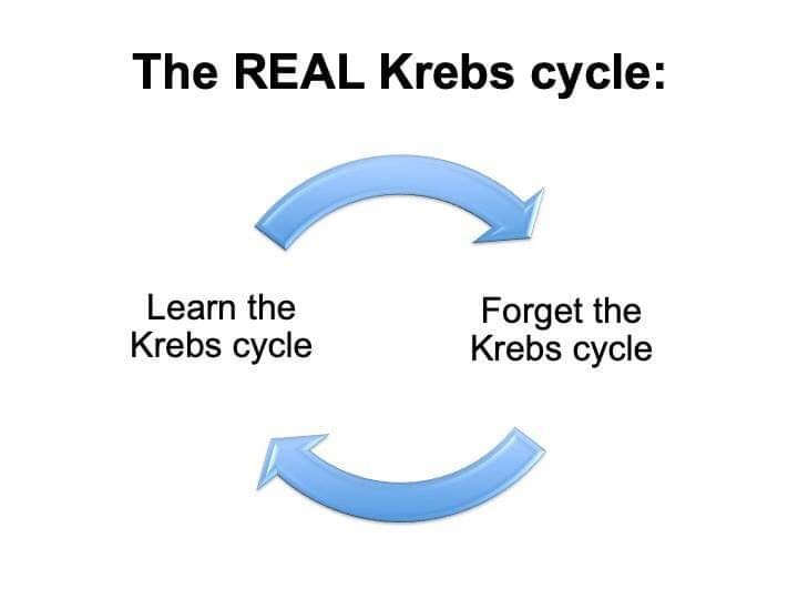 1592344373326.png