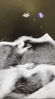 1643753576001.gif