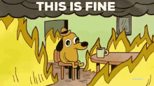 1663344118111.png