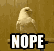 1674534543439.gif