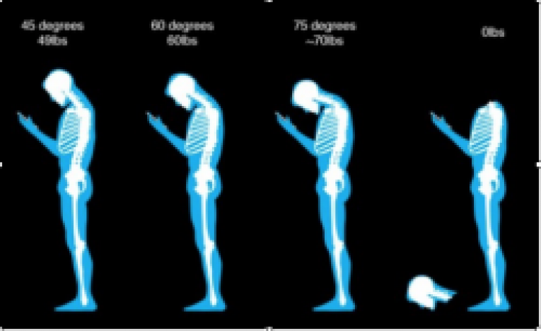 1685561994255.png
