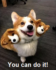 1686620137181.png