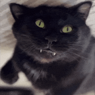 1689135030764.gif
