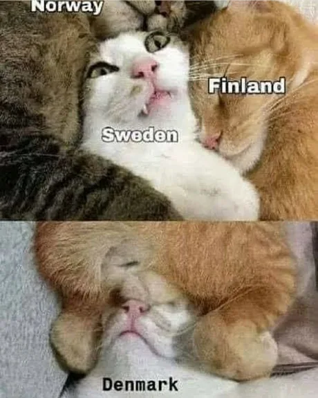1690261350378.png