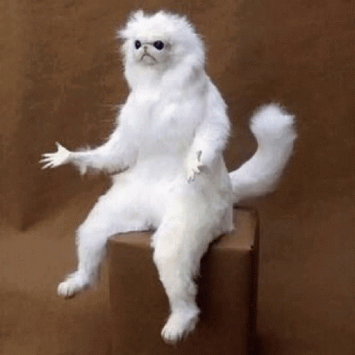 1692398569383.gif