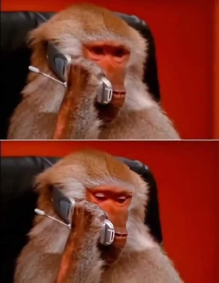 1699891327851.jpeg