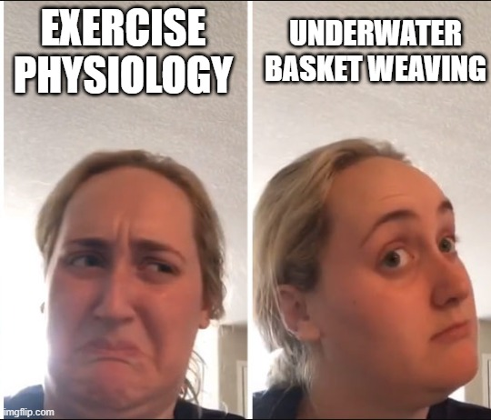 1703789730329.png