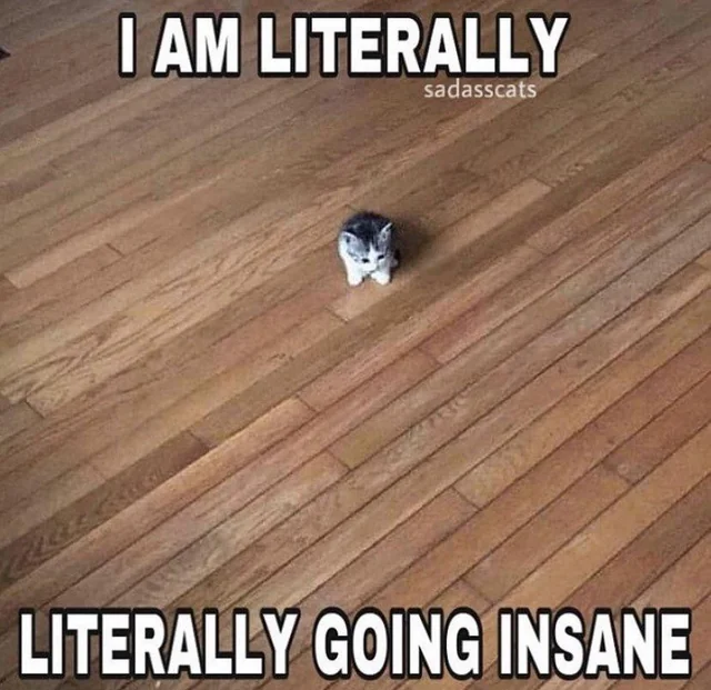 1706127033455.png