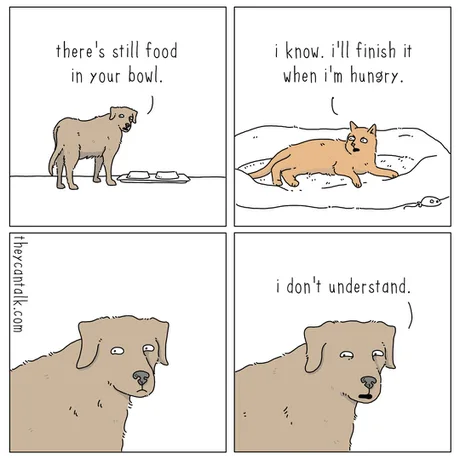 1710126406477.png