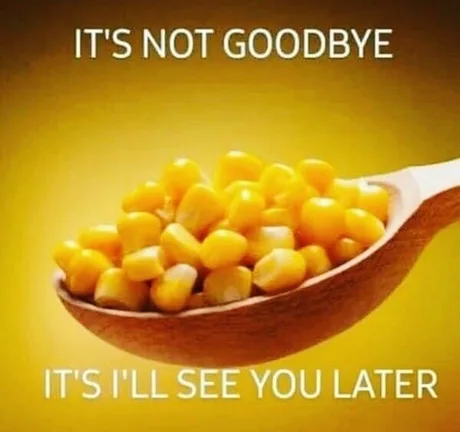 1713288011893.png