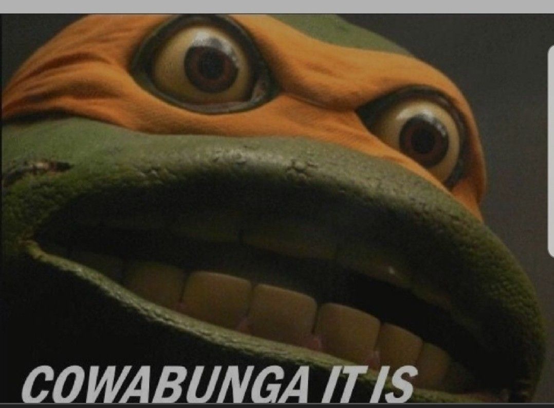 1719000128712.jpeg