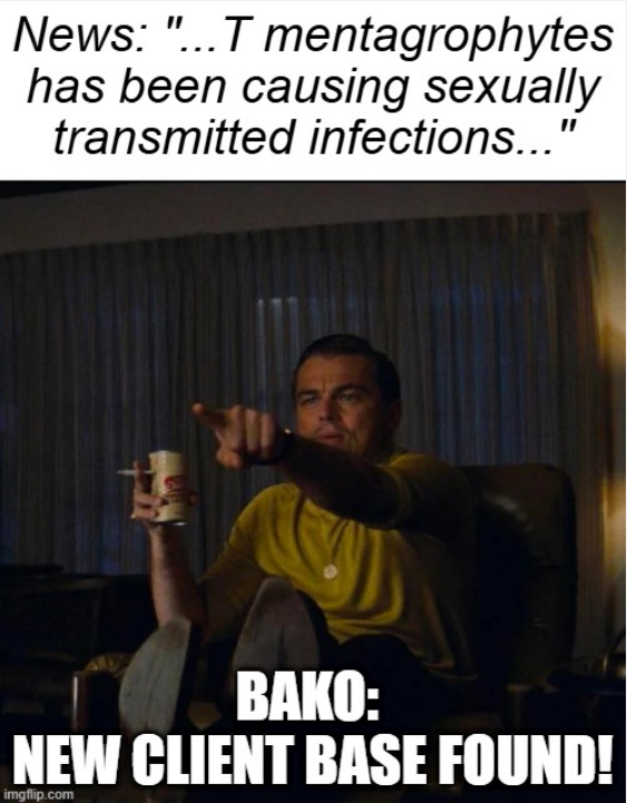 1731854878058.png
