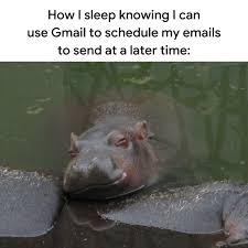 1734387918983.png