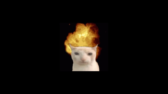 1742490454331.jpeg