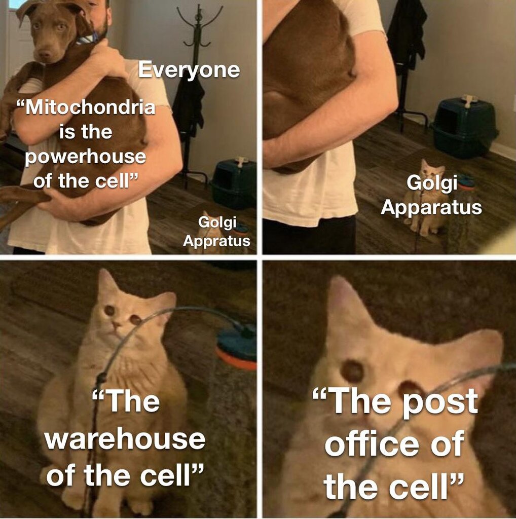 1743109934621.jpeg
