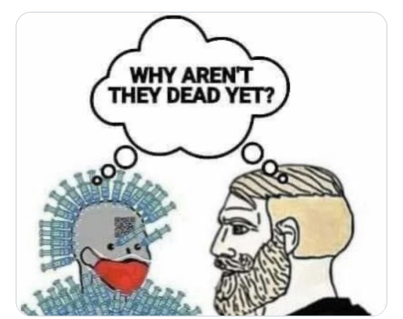 1748026615528.jpeg