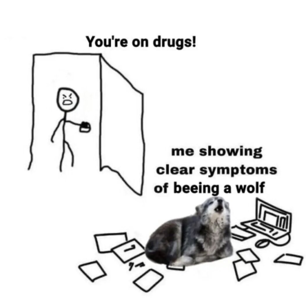 1781058623249.jpeg