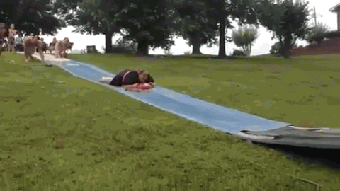 1784583E-4BC2-4069-B679-7AC3CADCE12F.gif