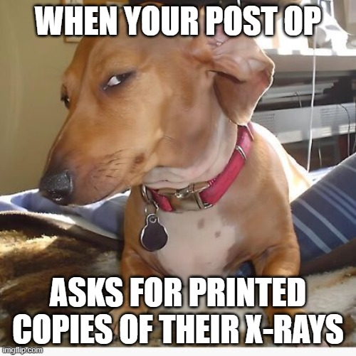 1790880781355.png