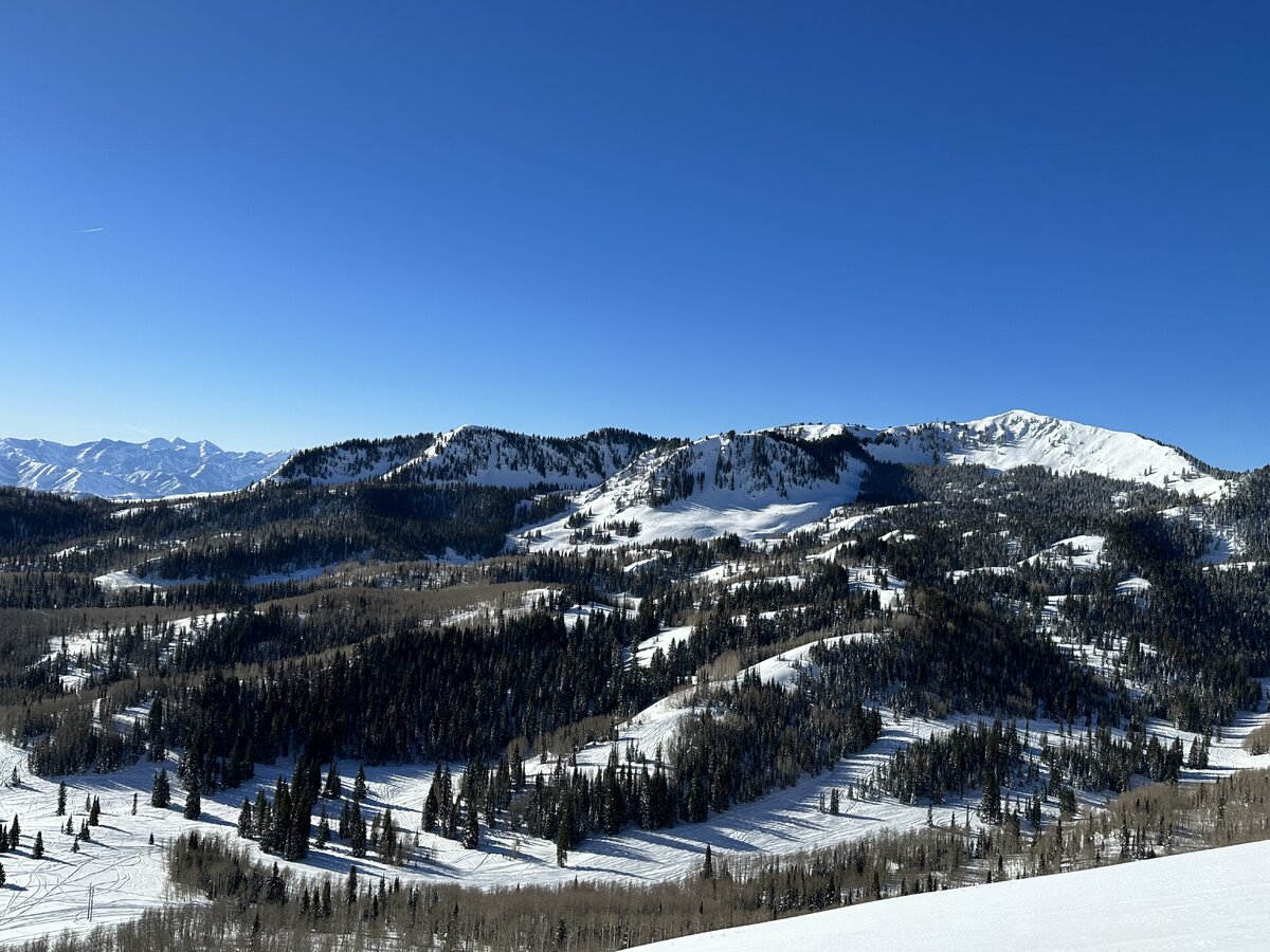 17C36C03-F0B2-4A9A-B053-DFD287F02571.jpeg