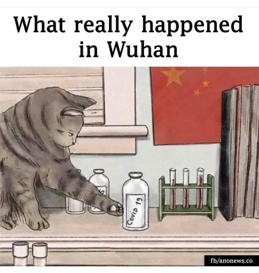 1B8F428D-8D8C-4E45-B7CF-408BDF3E196C.jpeg