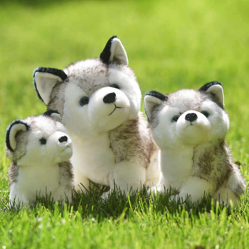 20-24-30cm-Cute-Husky-Dog-Plush-Toy-Wolf-Soft-Stuffed-Animals-Cartoon-Plush-Kawaii-Children.jp...jpg