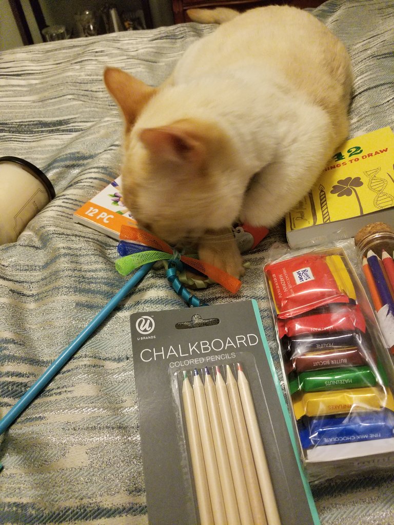 20180728_180520.jpg