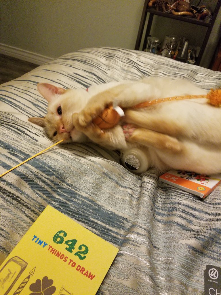 20180728_181949.jpg