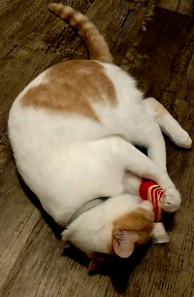 20180731_102117.jpg