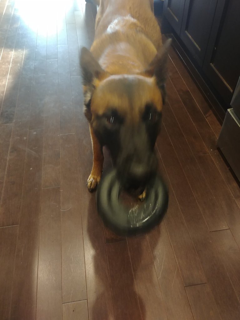 20180802_193741.jpg
