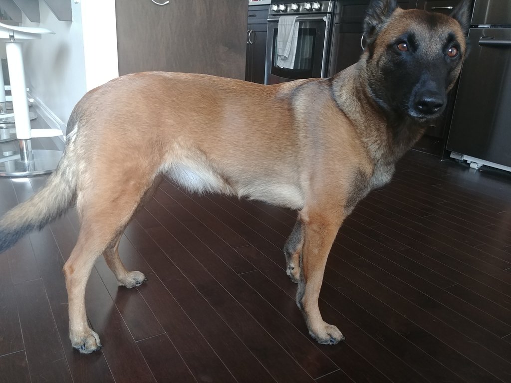 20180803_090659_HDR.jpg
