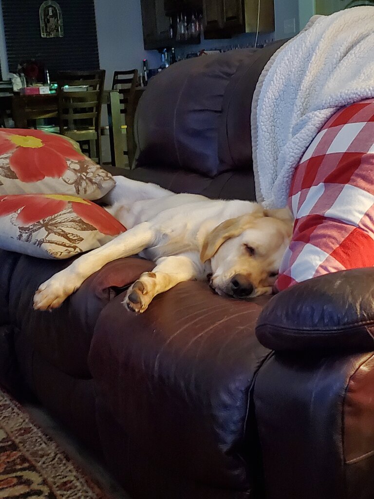 20191231_214327.jpg