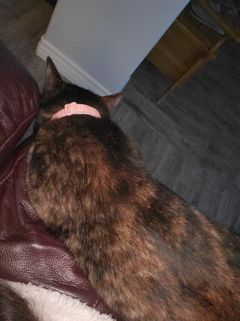 20191231_214343.jpg