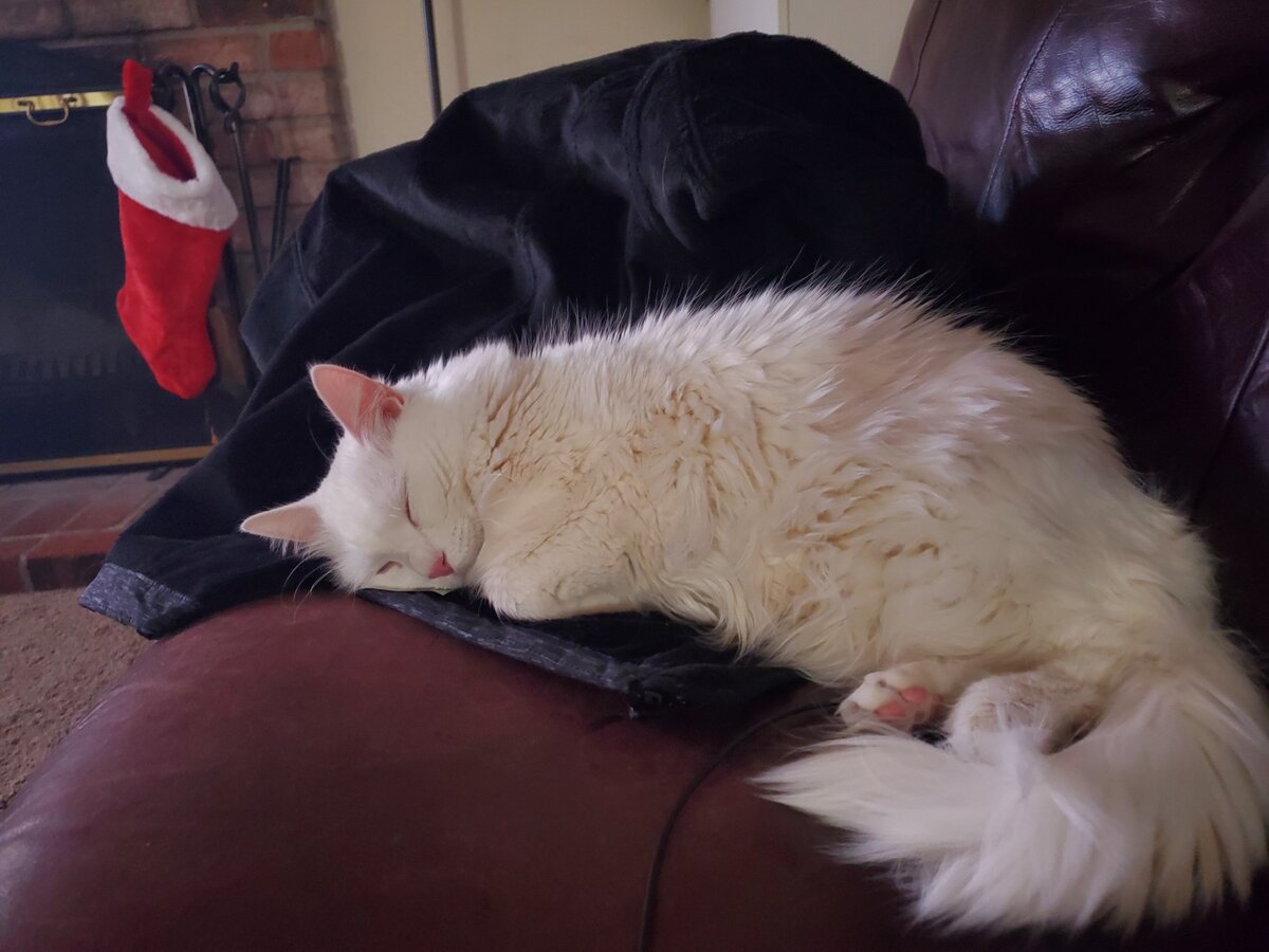 20210101_204713.jpg