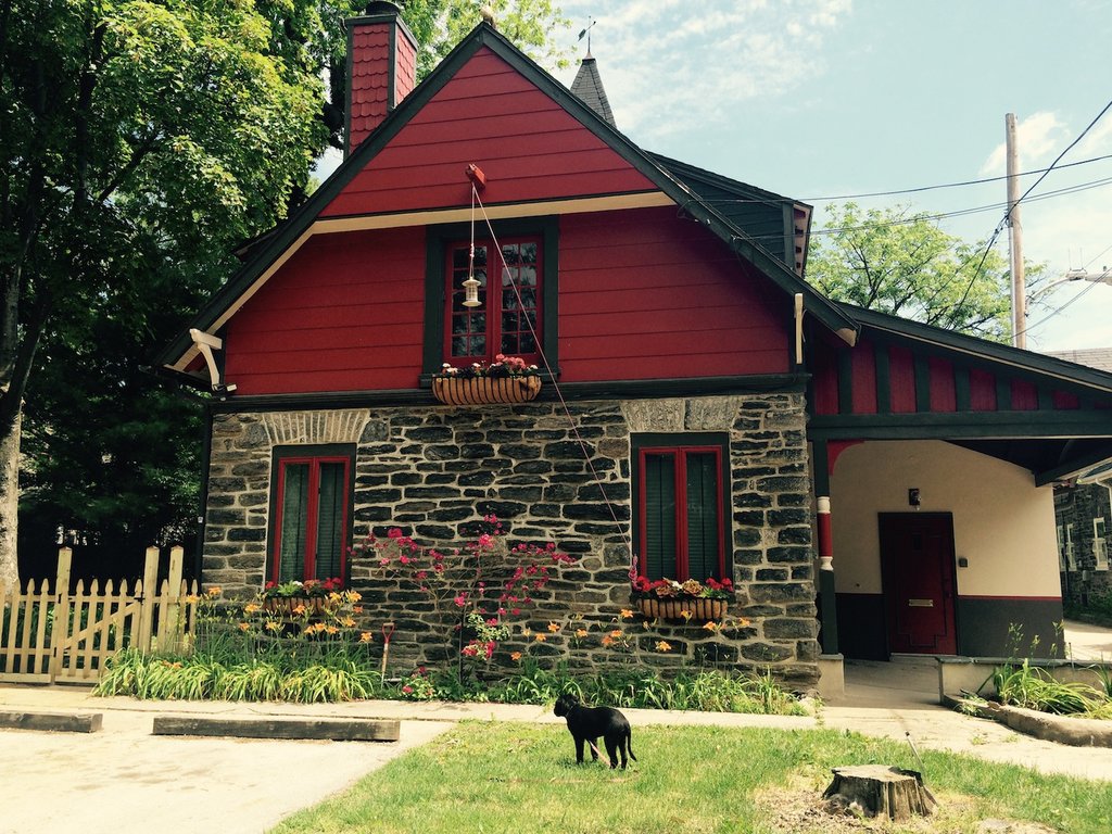 265_Gable_Pup.jpg