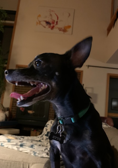 27515CE4-3F18-4F8A-B25D-E75824766FAF.jpeg