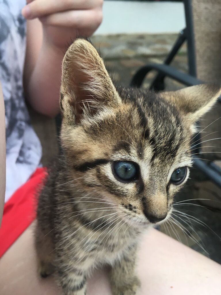 2E5F7367-177A-43B9-9228-071238DF096A.jpeg