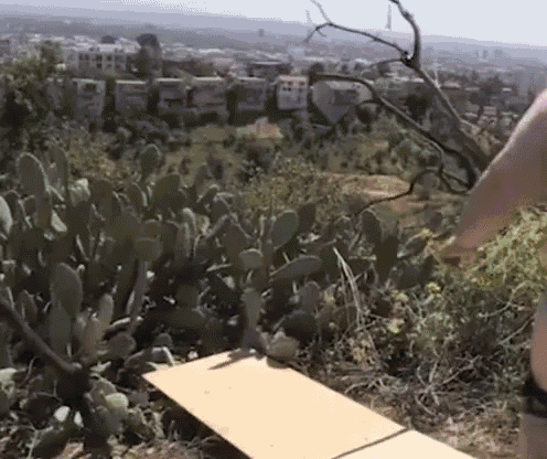 33D7520D-5328-40C8-96AE-7C2C35BE0378.gif