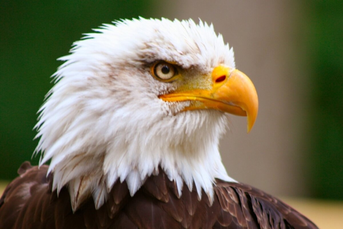 430DBC9F-4638-484D-AAB6-6FE2DDE6765D.jpeg