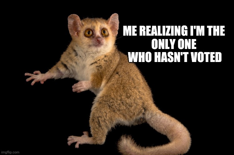 5cq24d.jpg