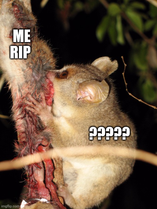 5cq498.jpg