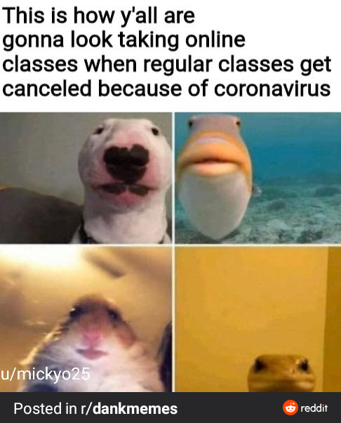 5e178ee.png