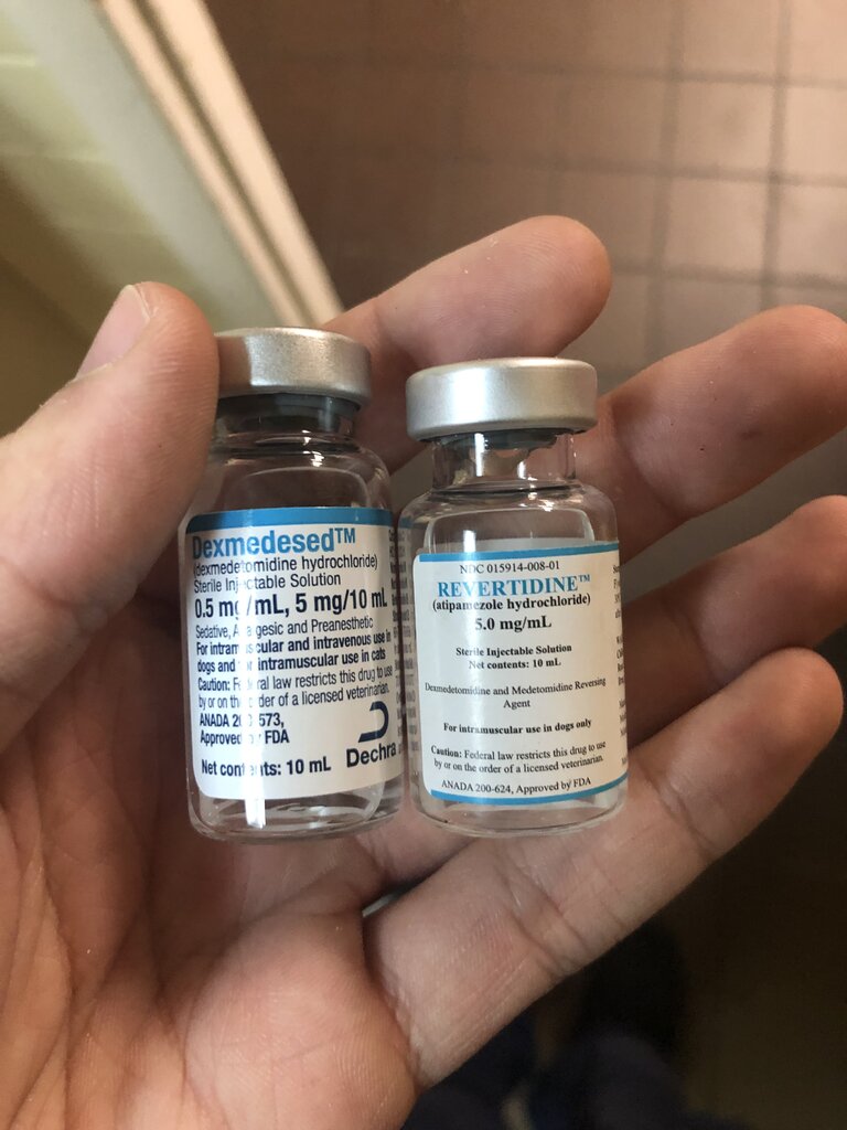 262050