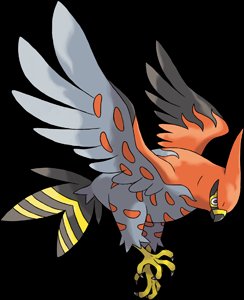 663-Talonflame.jpeg