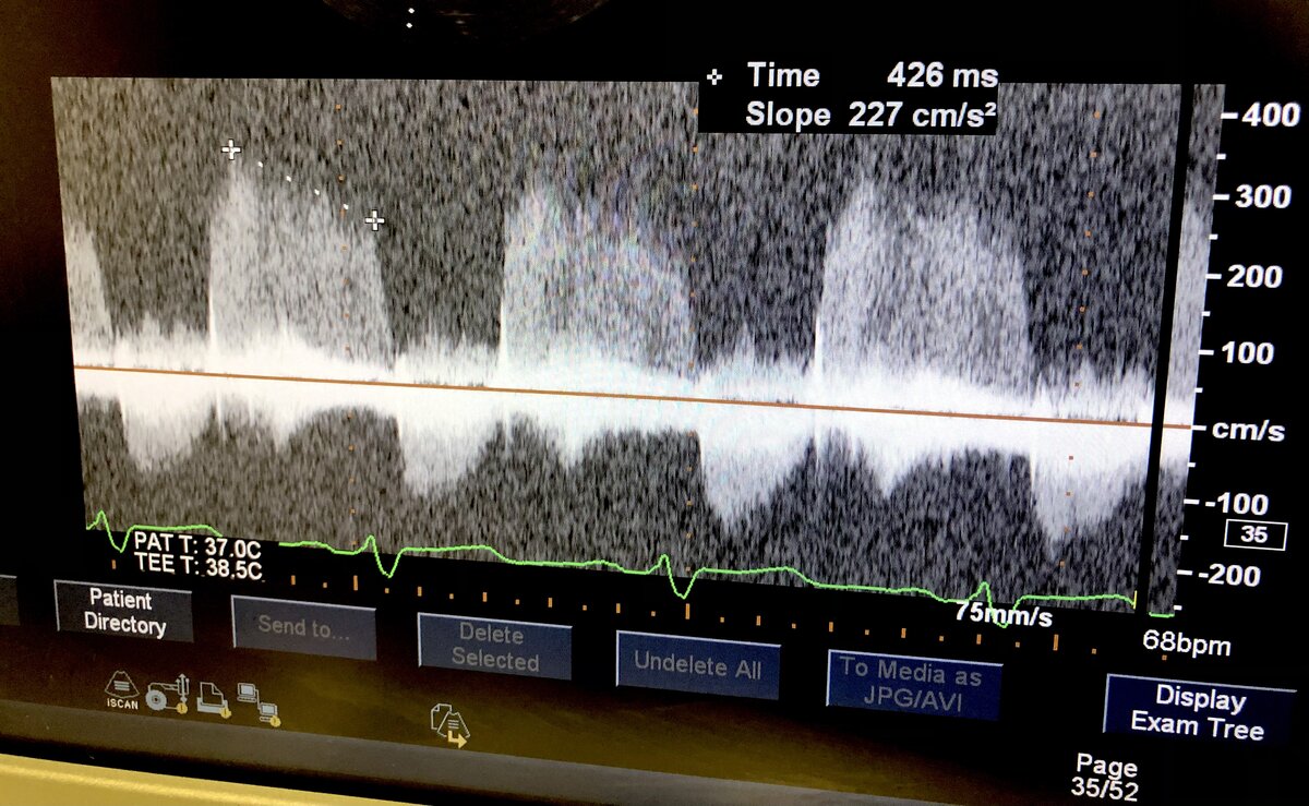 6B08C864-F609-4573-B8BC-9D01C74AF2C6.jpeg
