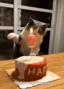 6B5A63F5-2EB9-4C70-B0DB-25170C722AB3.gif