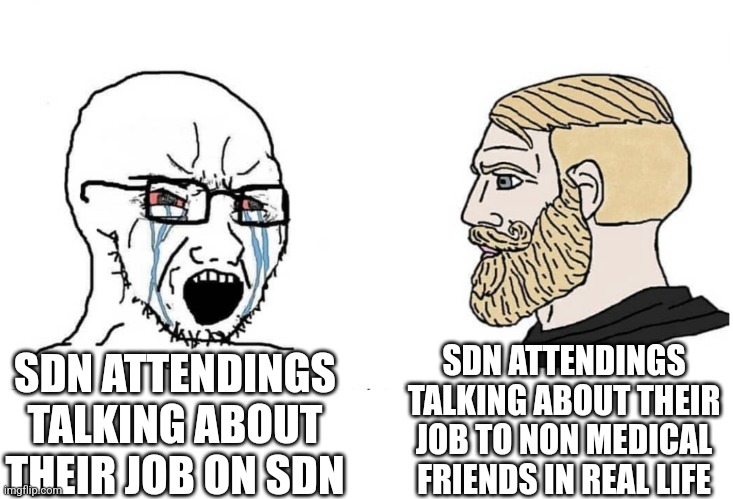 6y13sf.jpg